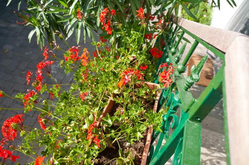 PAPE PUNAT apartmani i sobe Bagian luar foto