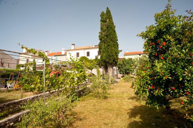 PAPE PUNAT apartmani i sobe Bagian luar foto